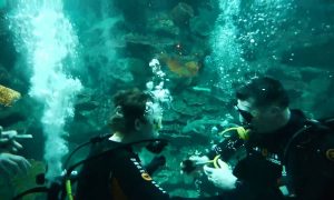 Potápění k vrakům v Chorvatsku